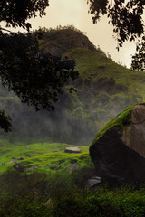 sunset in the forest mountain