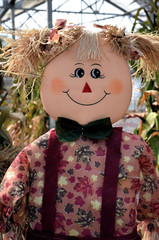 Cute smiling well dressed scare crow