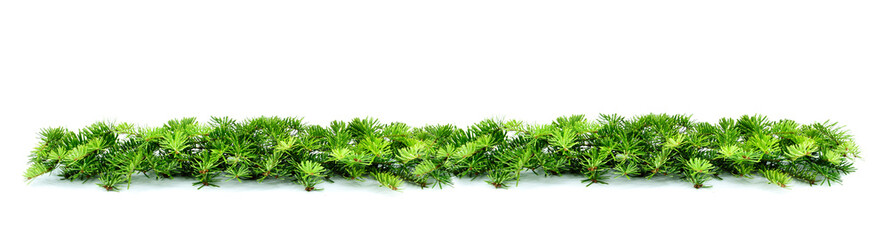 Christmas border arranged with fresh green fir branches  on white background. Christmas, winter, new year garland. Copy space.