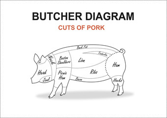 Cut of meat set. Poster Butcher diagram, scheme and guide - Pork. Vector illustration