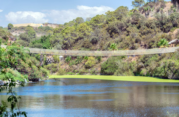 Puente colgante en la naturaleza