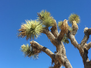 Nature on land and water