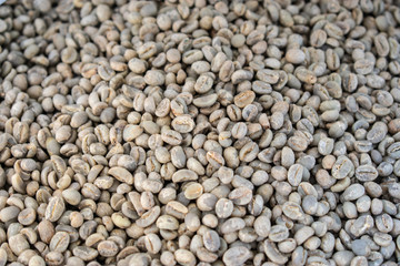blurred green coffee bean for background
