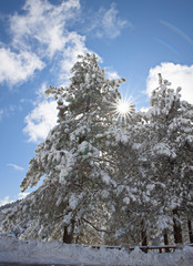 Fototapety na wymiar - Fototapeta24.pl