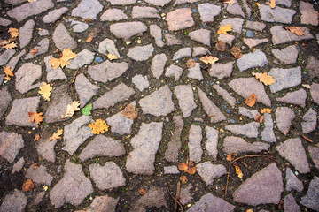 Mosaic floor on ground made of stones or rocks with autumn leaves