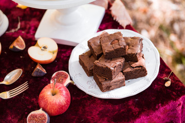 Beautiful autumn picnic in nature in the park.