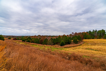 Autumn landscape with green field and blue sky