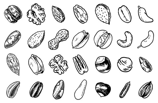 Nuts mix background. Seeds and granule, corn and grain. Hazelnut, Walnut, Almonds. Food concept. Top view. Vintage poster. Engraved hand drawn sketch. Set of doodle icons, signs in Monochrome style.
