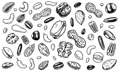 Fototapeta na wymiar Nuts mix background. Seeds and granule, corn and grain. Hazelnut, Walnut, Almonds. Food concept. Top view. Vintage poster. Engraved hand drawn sketch. Set of doodle icons, signs in Monochrome style.