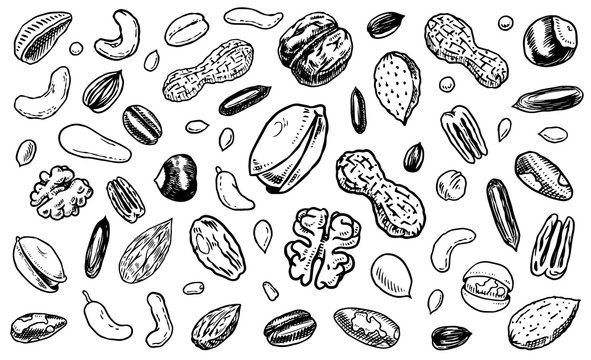 Nuts mix background. Seeds and granule, corn and grain. Hazelnut, Walnut, Almonds. Food concept. Top view. Vintage poster. Engraved hand drawn sketch. Set of doodle icons, signs in Monochrome style.
