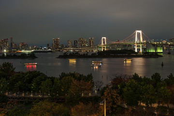 Fototapeta na wymiar Tokyo skyline by night