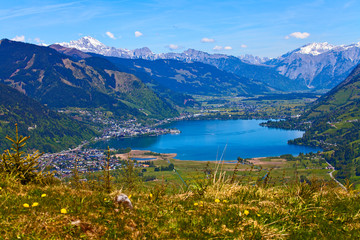 Fototapeta na wymiar Zell am See im Pinzgau im Salzburger Land