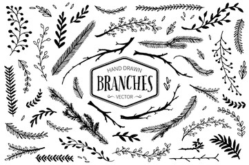 Set of hand drawn branches. Ink illustration.