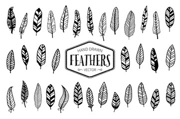 Set of hand drawn feathers. Ink illustration.