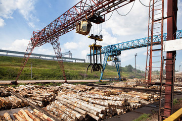 The work of a gantry crane in the plywood factory