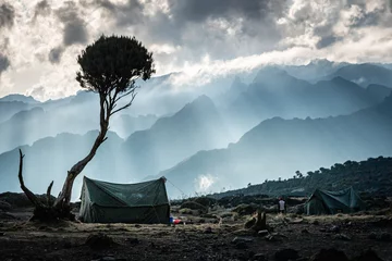 Velvet curtains Kilimanjaro Camping in kilimanjaro