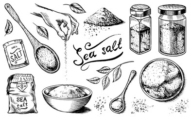 Sea salt set. Glass bottles, packaging and and leaves, wooden spoons, powdered powder, spice in the hand. Vintage background poster. Engraved hand drawn sketch. 