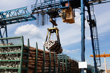 The work of a gantry crane in the plywood factory