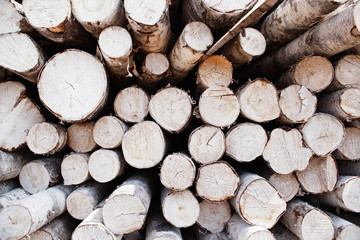 Canned logs in the open log warehouse for the plywood factory