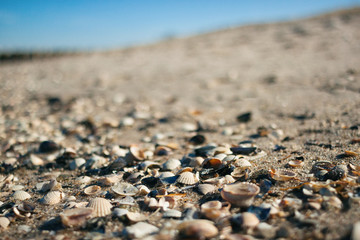 stones on beach