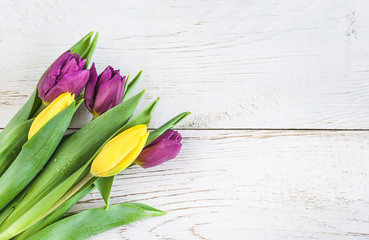 Bouquet of purple and yellow tulips with water drops on the white paint wooden background. Copy space, flat lay