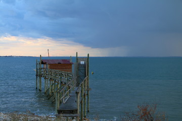 Ponton