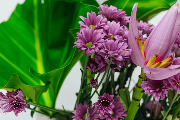Pink flowers in the garden