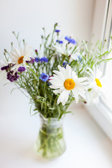 daisies and cornflowers in   vase
