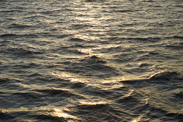 Meer