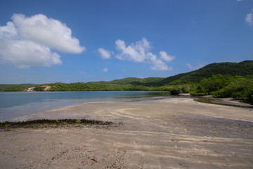 Baie de Martinique sauvage