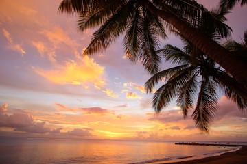 Plakat sunset on the beach