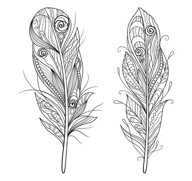 Set of decorative stylized outline feathers on white background. Vector illustration doodling and zentangle style