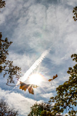 Colorful orange and yellow leaves falling down in autumn - beautiful sky