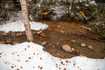 Ordesa National Valley in snowy autumn, located in Pyrenees Spain