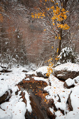 Ordesa National Valley in snowy autumn, located in Pyrenees Spain