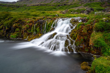 Wild Iceland