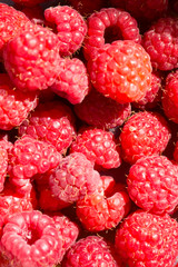 Himbeeren
