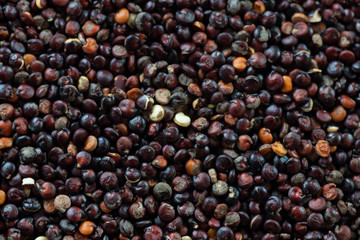 Red quinoa macro. Uncooked grain with varying texture and color.