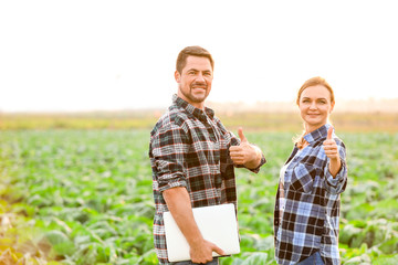 Agricultural engineers working in field