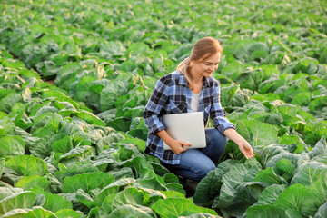 Female agricultural engineer working in field