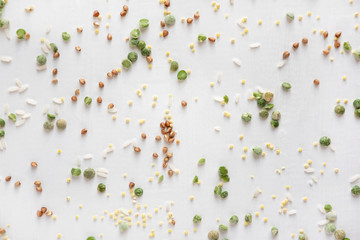 Pattern with buckwheat, wheat, peas and rice on a white background. Pattern with porridge for food. Flat lay, top view.