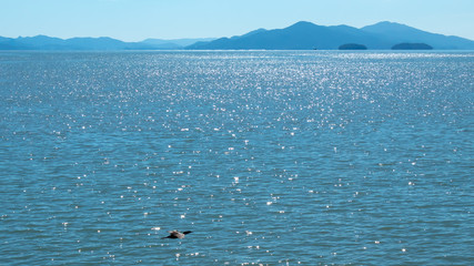 Mar azul tropical em dia de sol