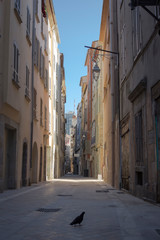 Fototapeta na wymiar Streets of Toulon Côte d’Azur