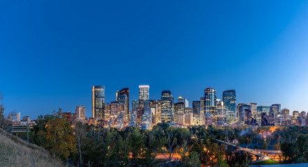 Calgary's skyline at night.
