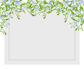 Winter background border with Mistletoe branches with green leaves and berries. on gray background with copy space.