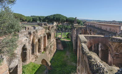 Therms had a rich interior decoration. Remained the ruins of a red brick term.