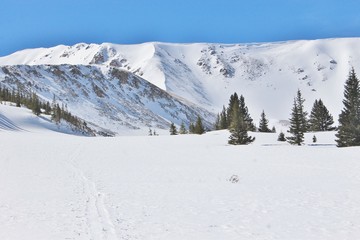 Fototapeta na wymiar Winter in Mountains