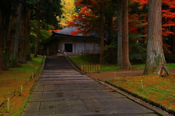 世界遺産　紅葉の中尊寺
