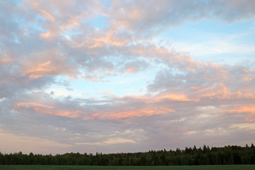 Fototapeta premium sunset in nature