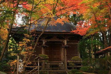 世界遺産　紅葉の中尊寺